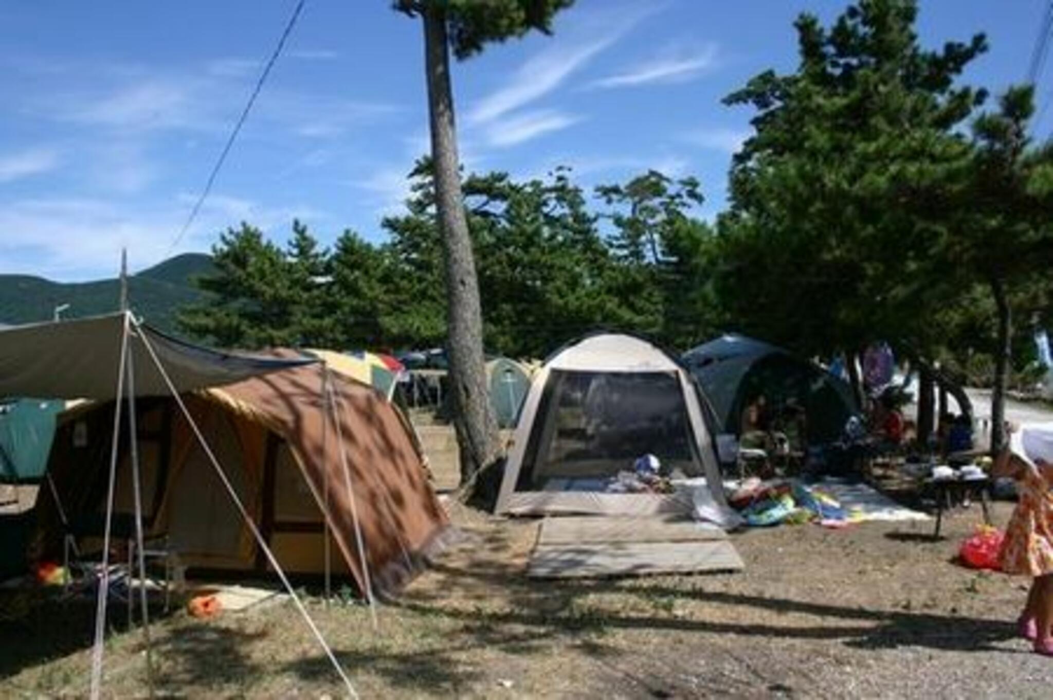 仁崎キャンプ場の代表写真1