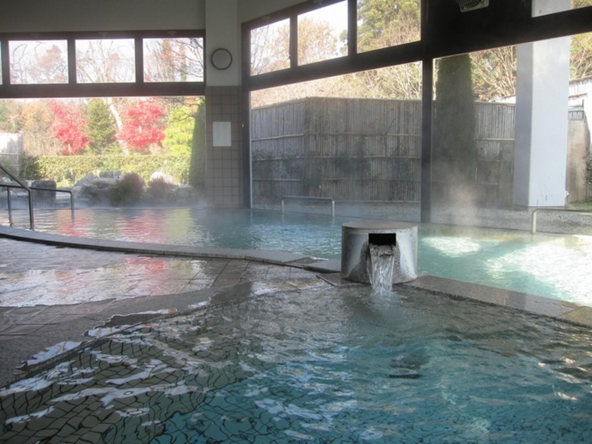 昭和温泉 昭和の湯の代表写真1