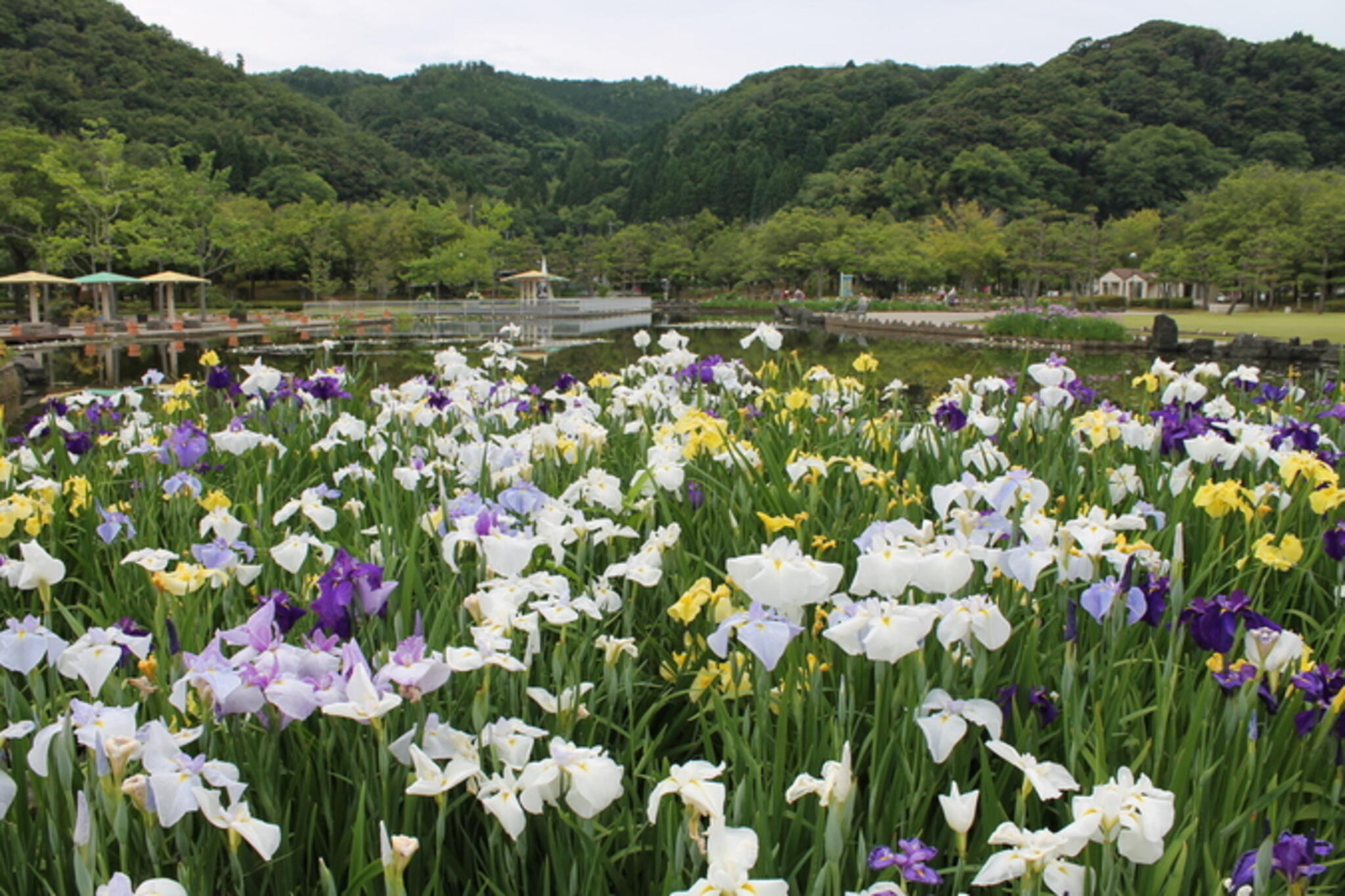 東郷湖羽合臨海公園の代表写真5
