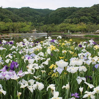 東郷湖羽合臨海公園の写真5