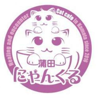 猫カフェ にゃんくる 蒲田店の写真3