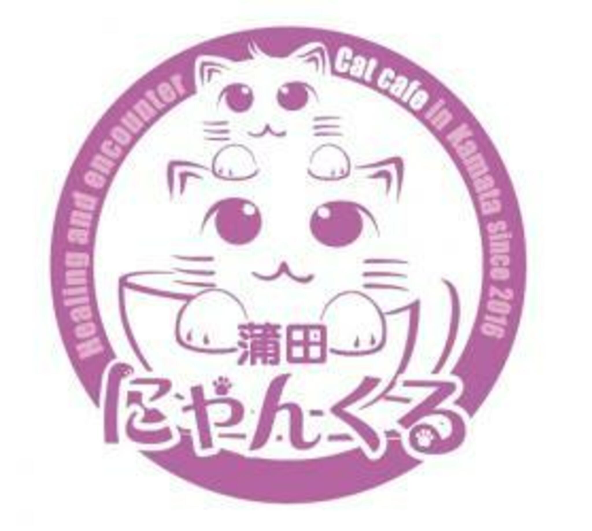 猫カフェ にゃんくる 蒲田店の代表写真3