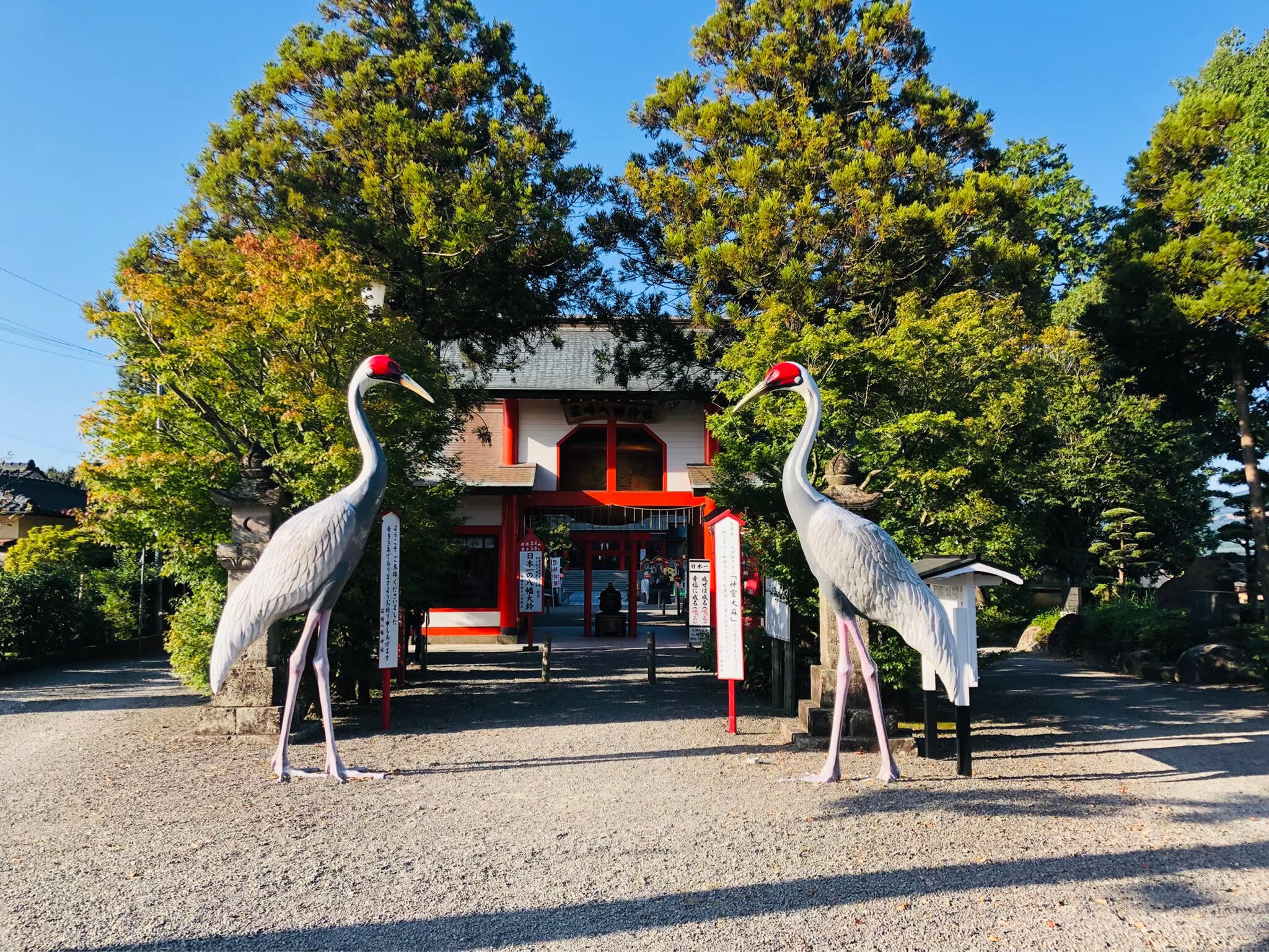 八幡神社の代表写真7