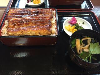 うなぎ・日本料理 ゑびす家のクチコミ写真1