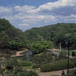 久良岐公園の写真28