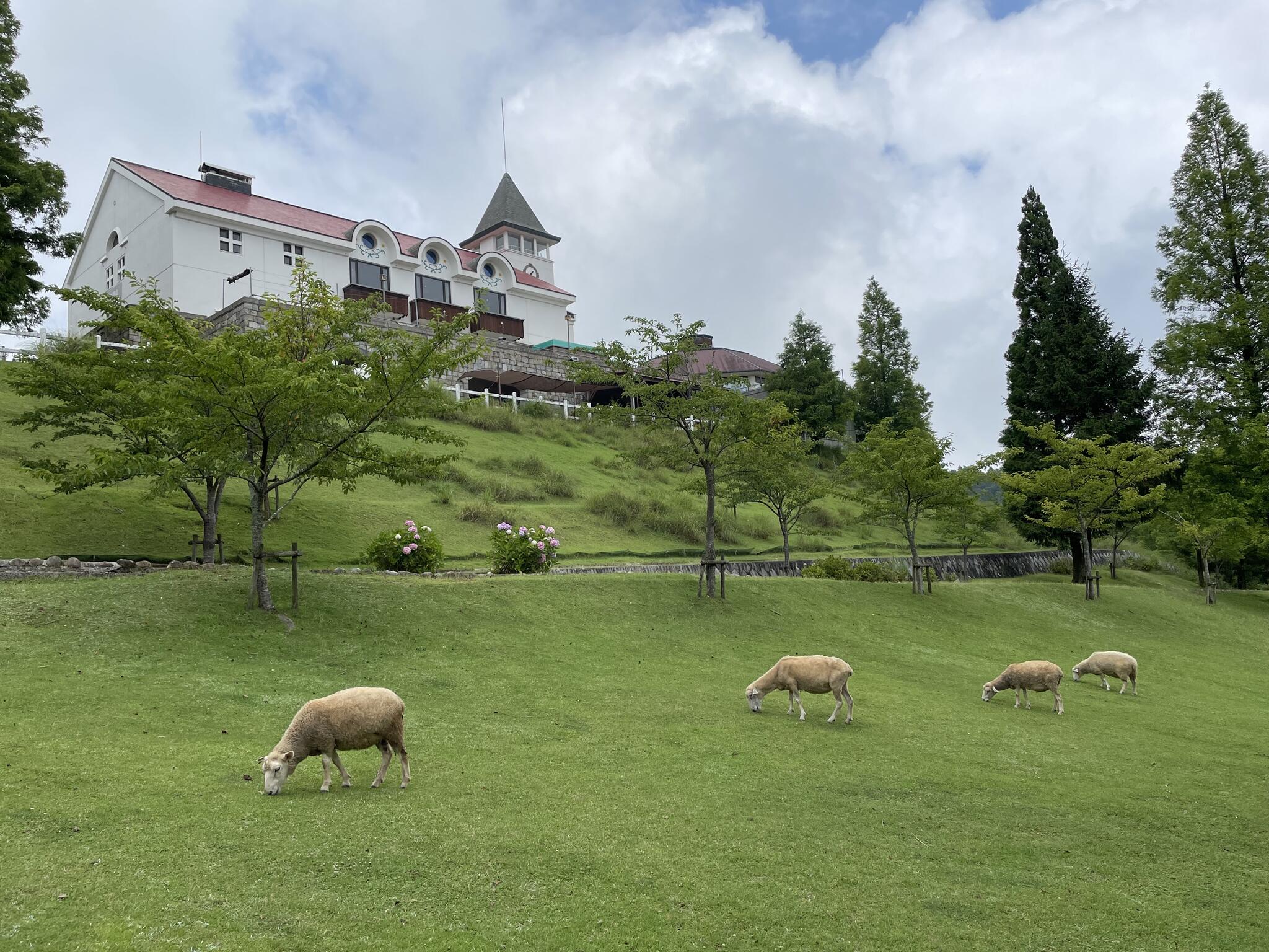 神戸市立六甲山牧場の代表写真2