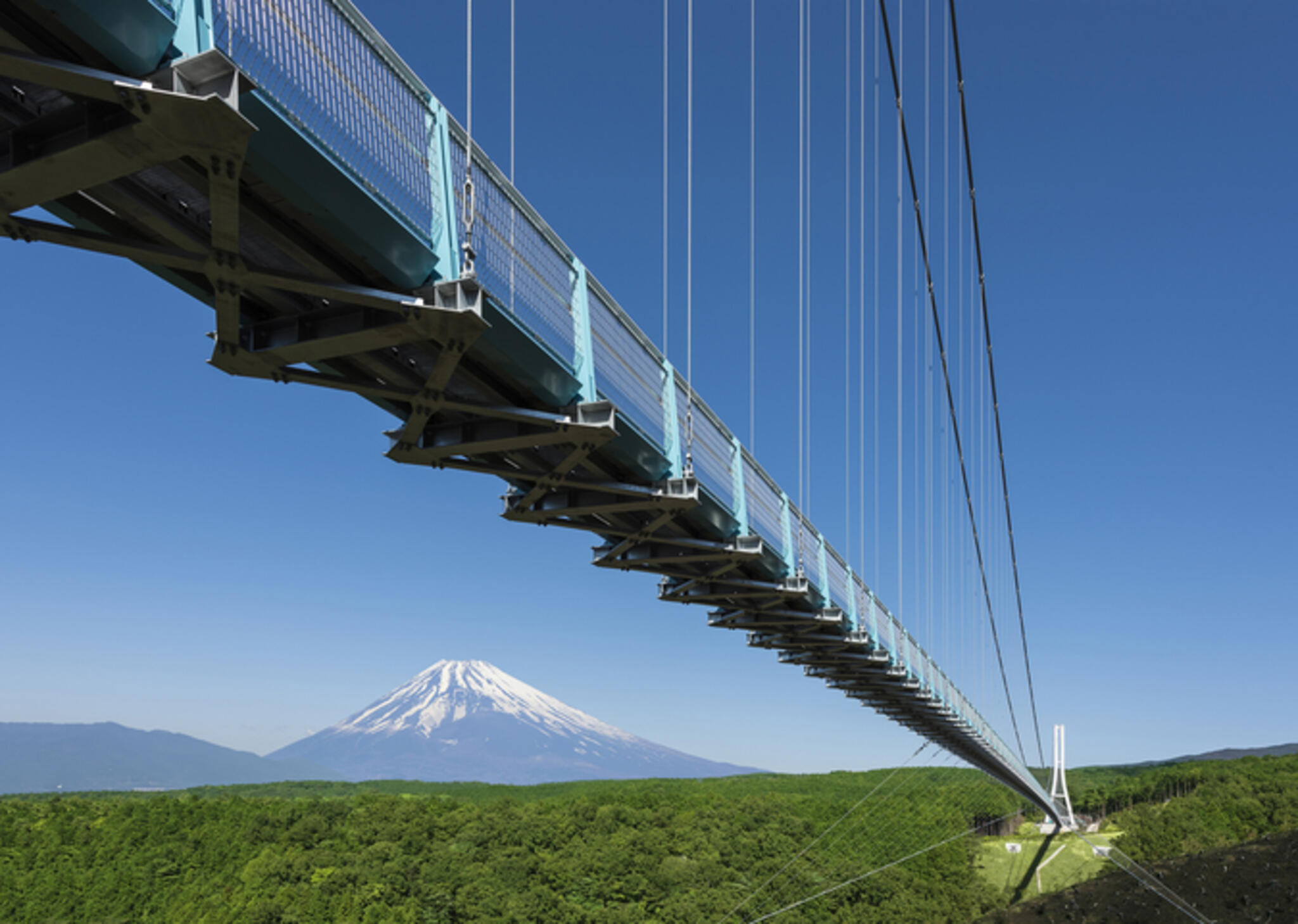 三島スカイウォークの代表写真4