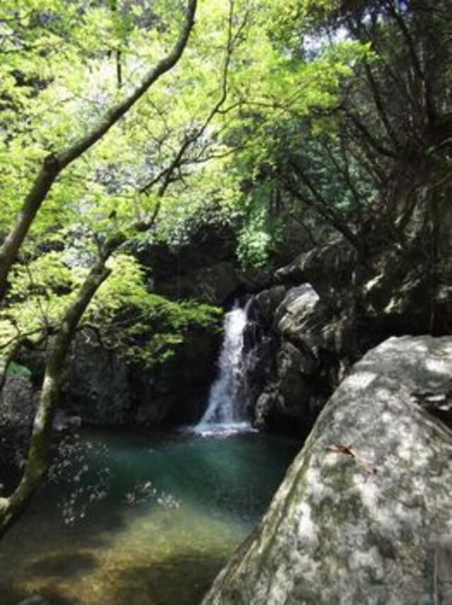 滝沢キャンプ場 ペット クリアランス 浜松