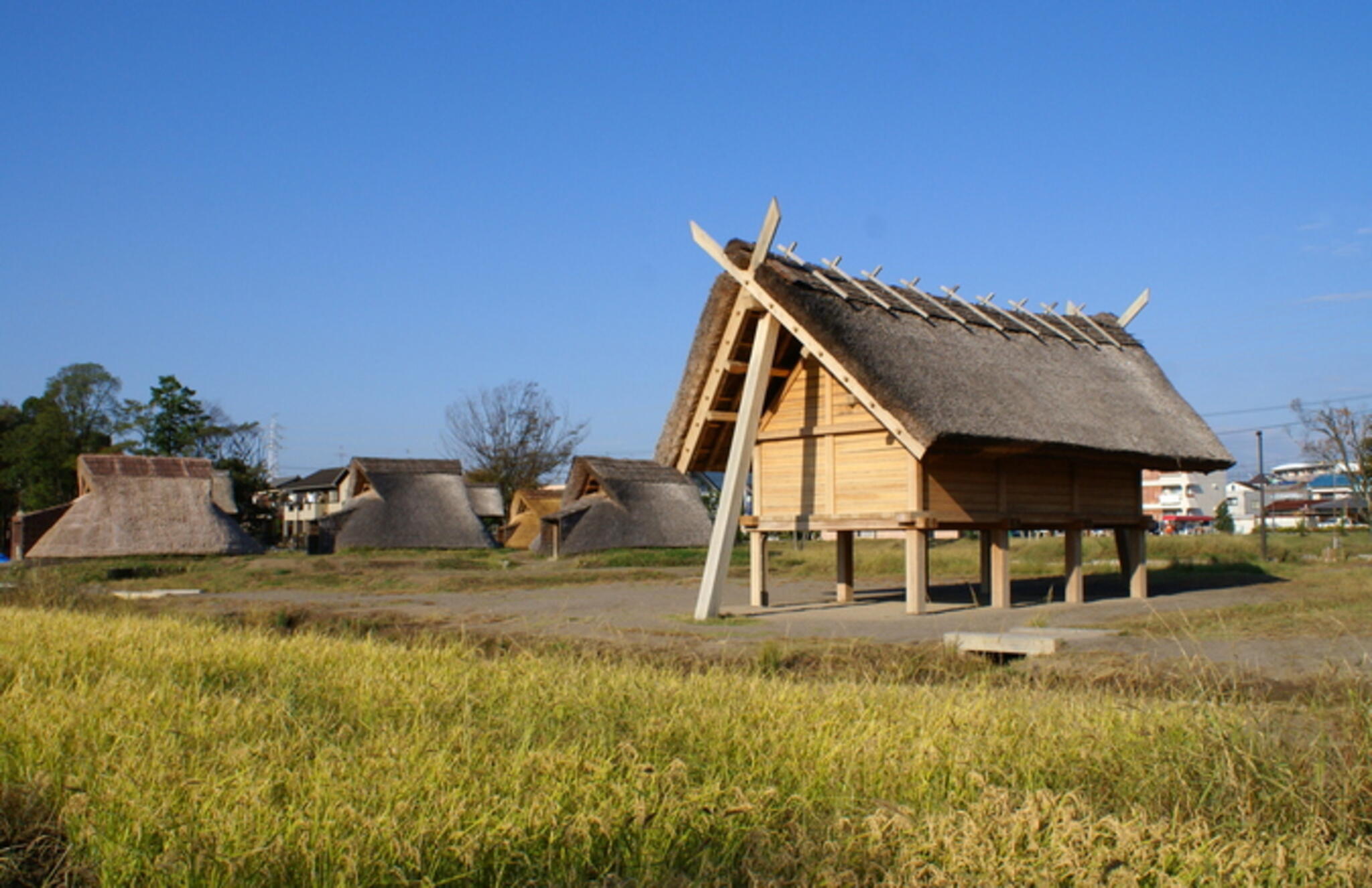 静岡市立登呂博物館の代表写真9