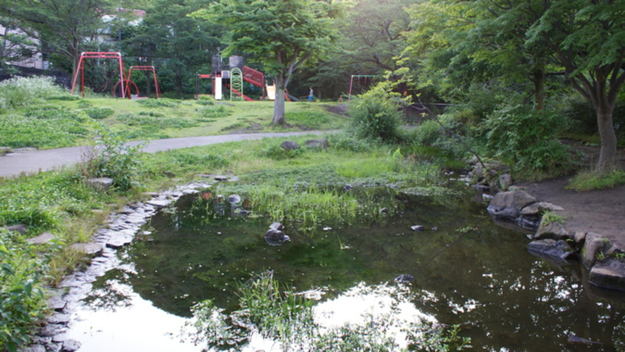 谷矢部池公園の代表写真6