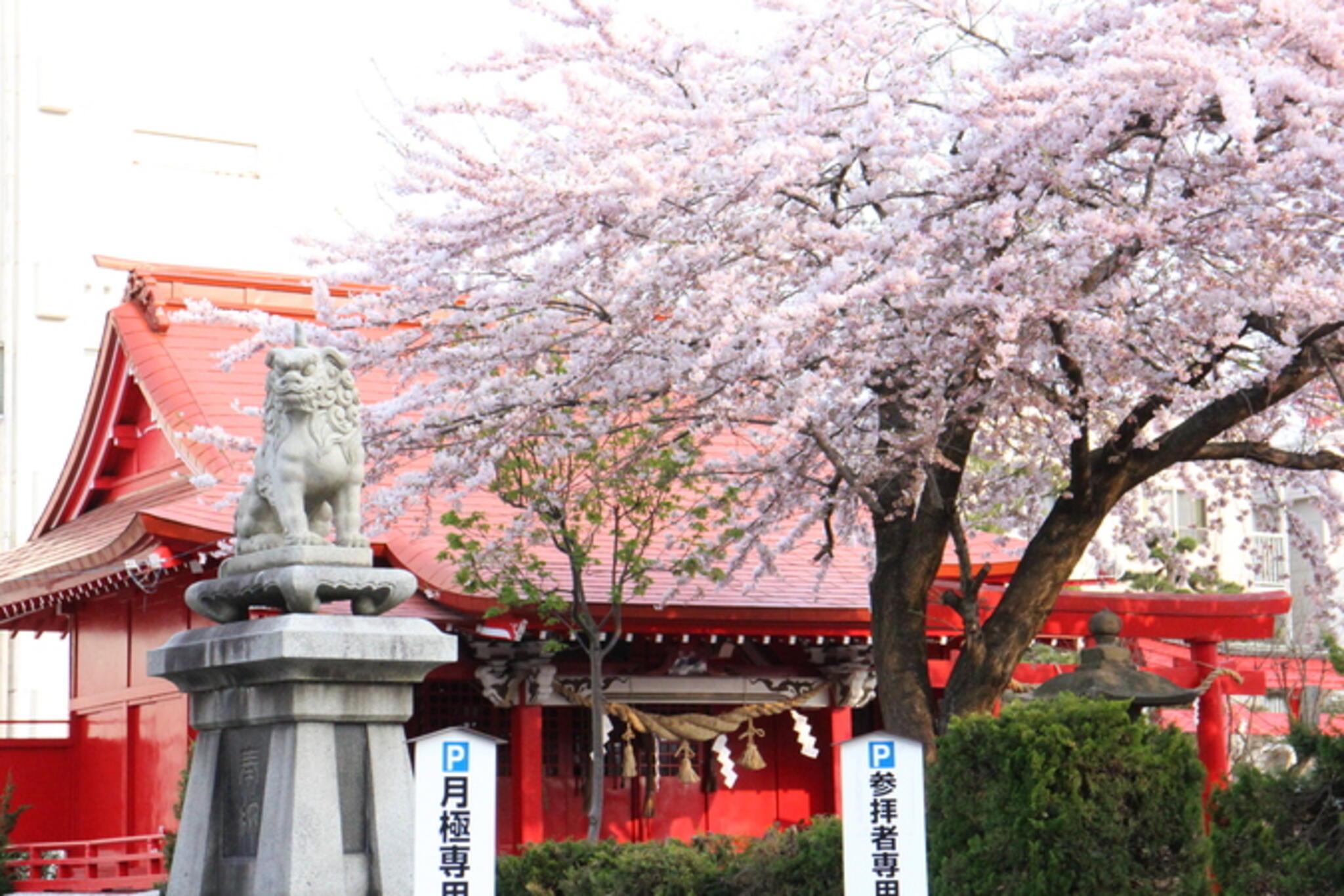 廣田神社の代表写真5