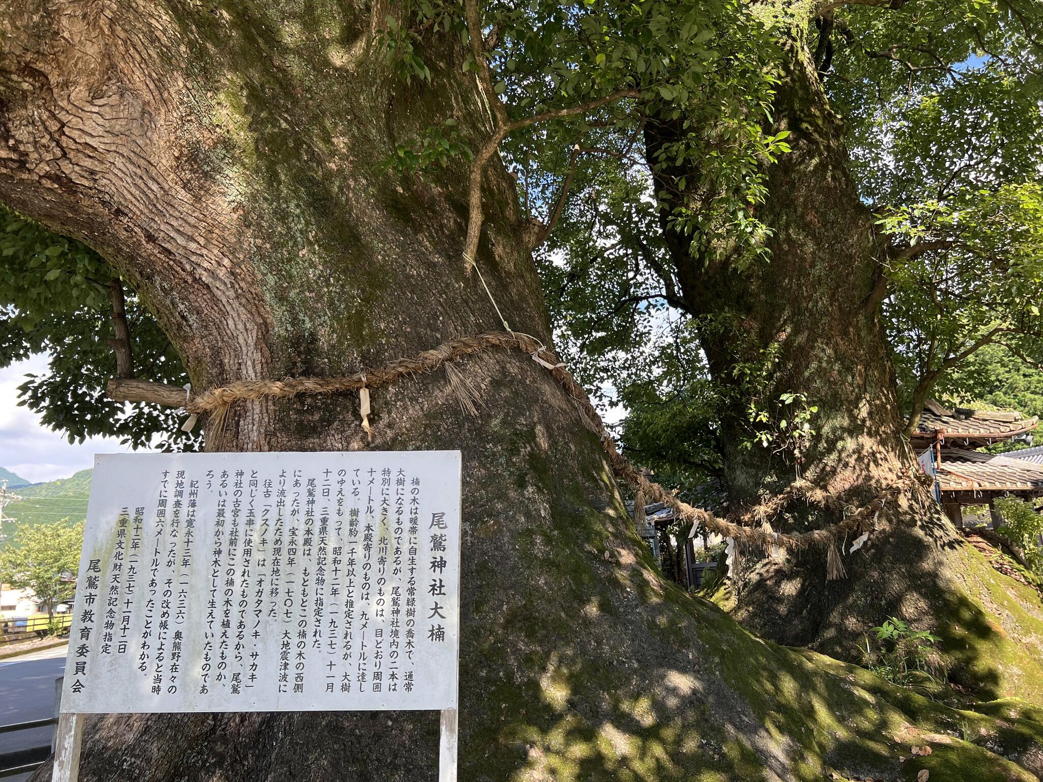 尾鷲神社の代表写真9