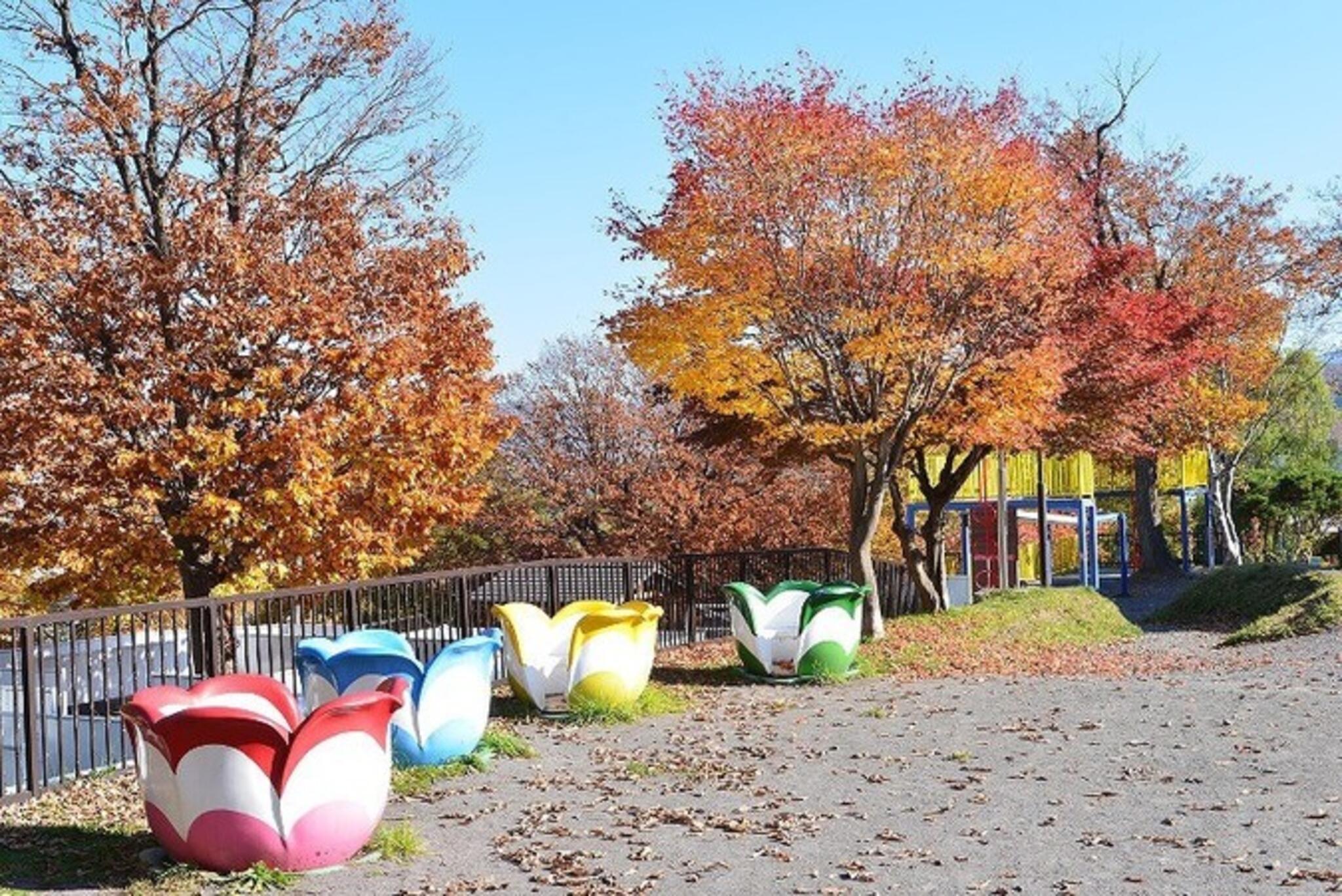 小樽公園の代表写真5