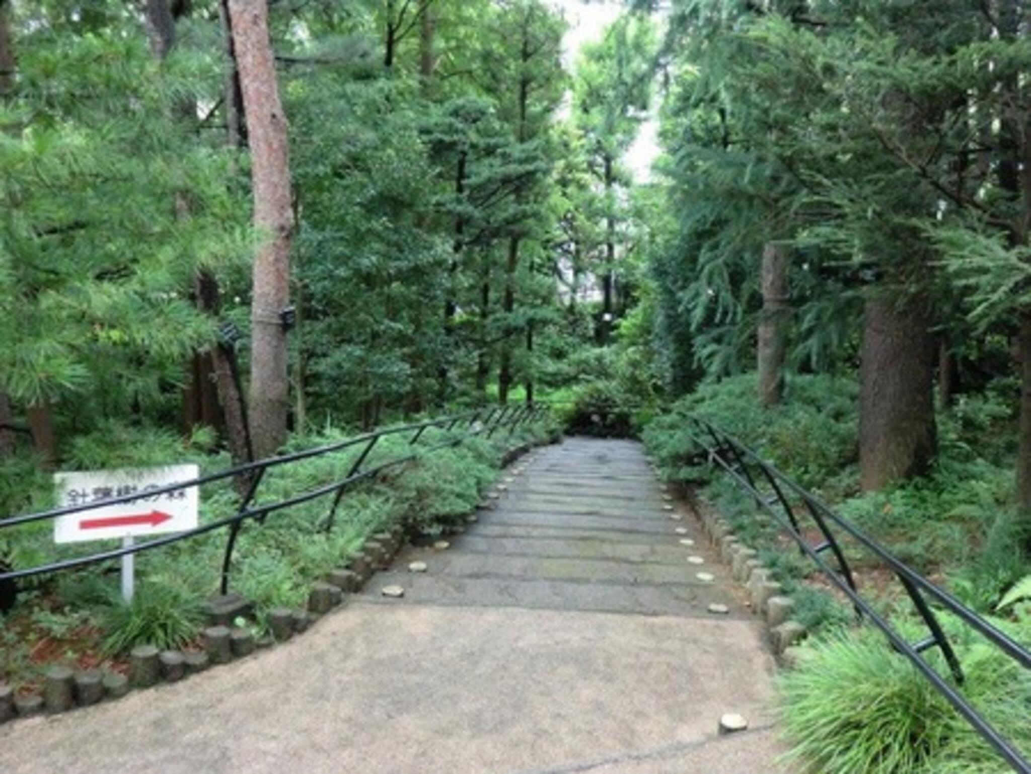 赤塚植物園の代表写真9