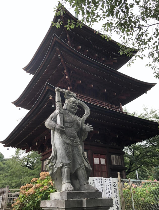 写真 西福寺 川口市大字西立野/寺院 Yahoo!マップ