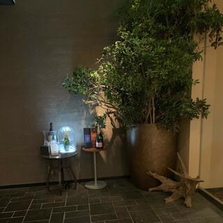 メインバー M BAR/シェラトン都ホテル東京のクチコミ写真1