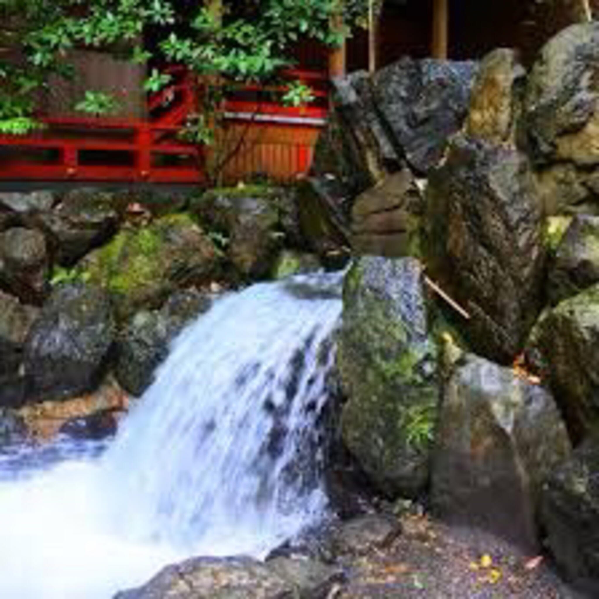 椿大神社の代表写真3