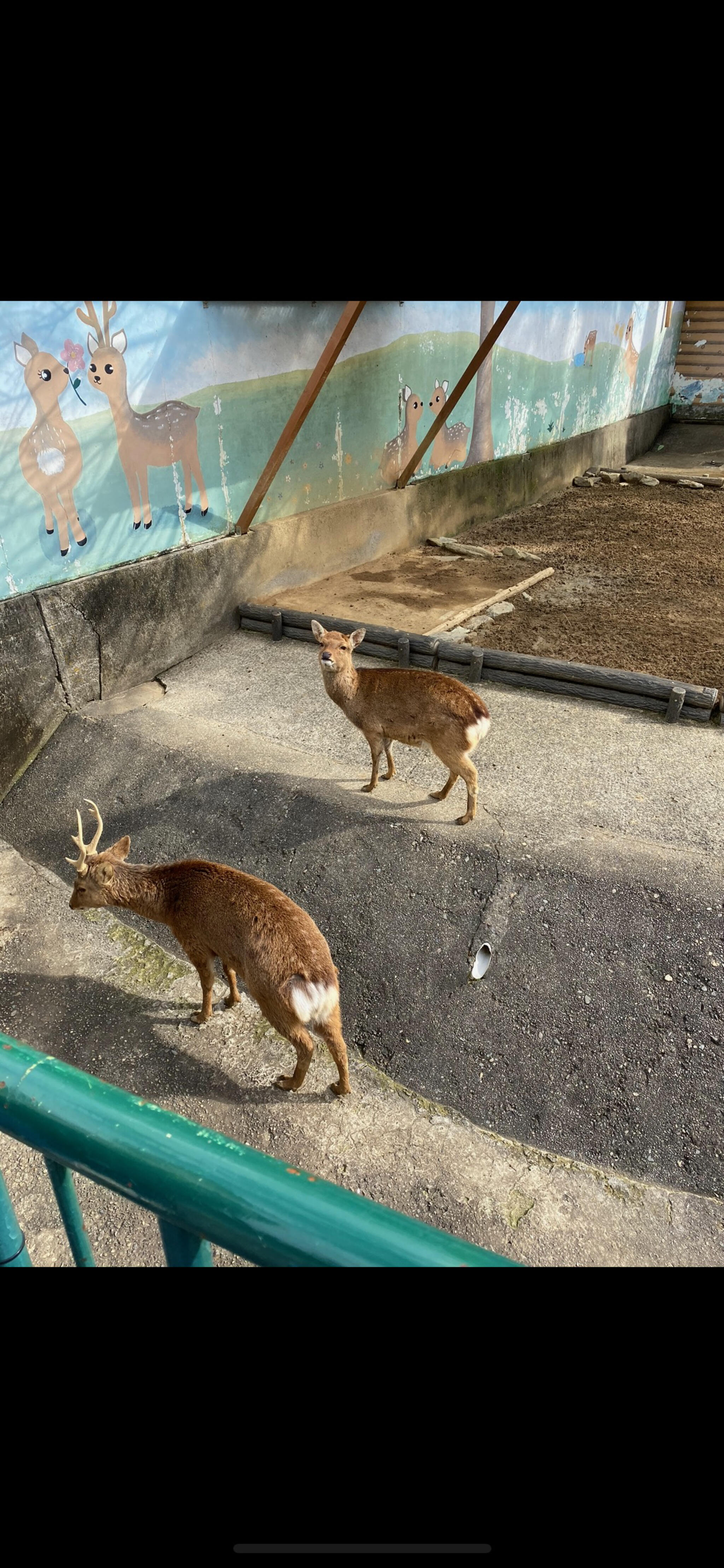 和歌山城公園動物園の代表写真3