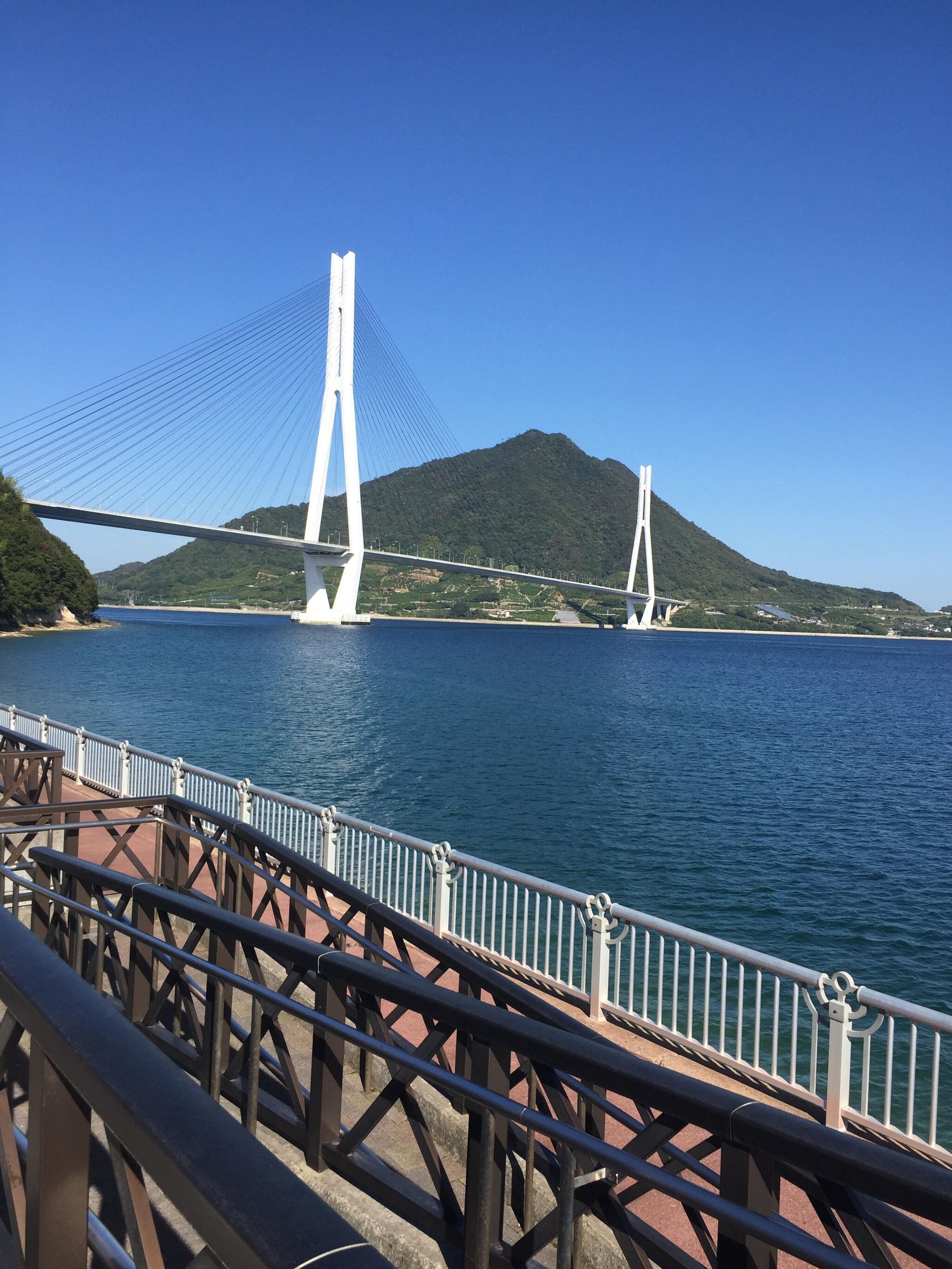 多々羅しまなみ公園の代表写真3