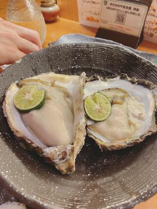 おさかなや 魚魚権 神泉店のクチコミ写真1