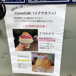 cocoo cafeのクチコミ写真2