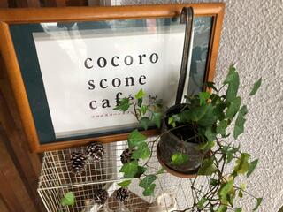 ココロスコーンカフェのクチコミ写真1