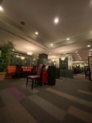 中国料理「桃花林」/オークラアクトシティホテル浜松のクチコミ写真3