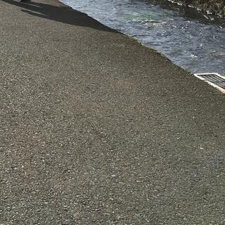 川のhotori用瀬のクチコミ写真1
