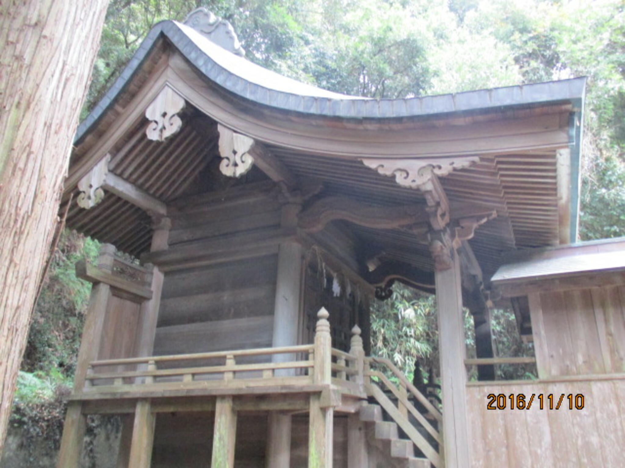 新羅神社の代表写真4