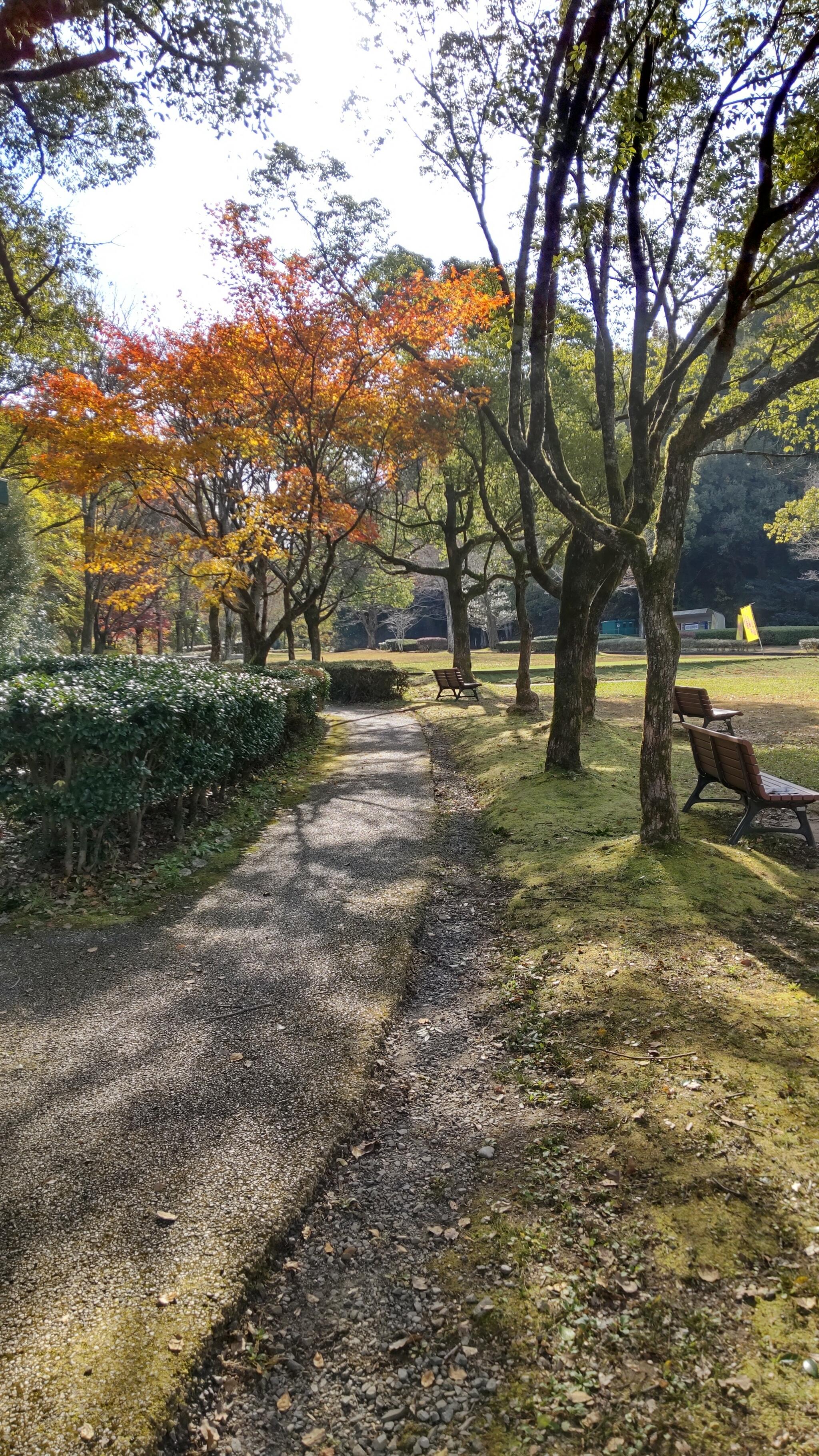 岐阜県百年公園の代表写真4