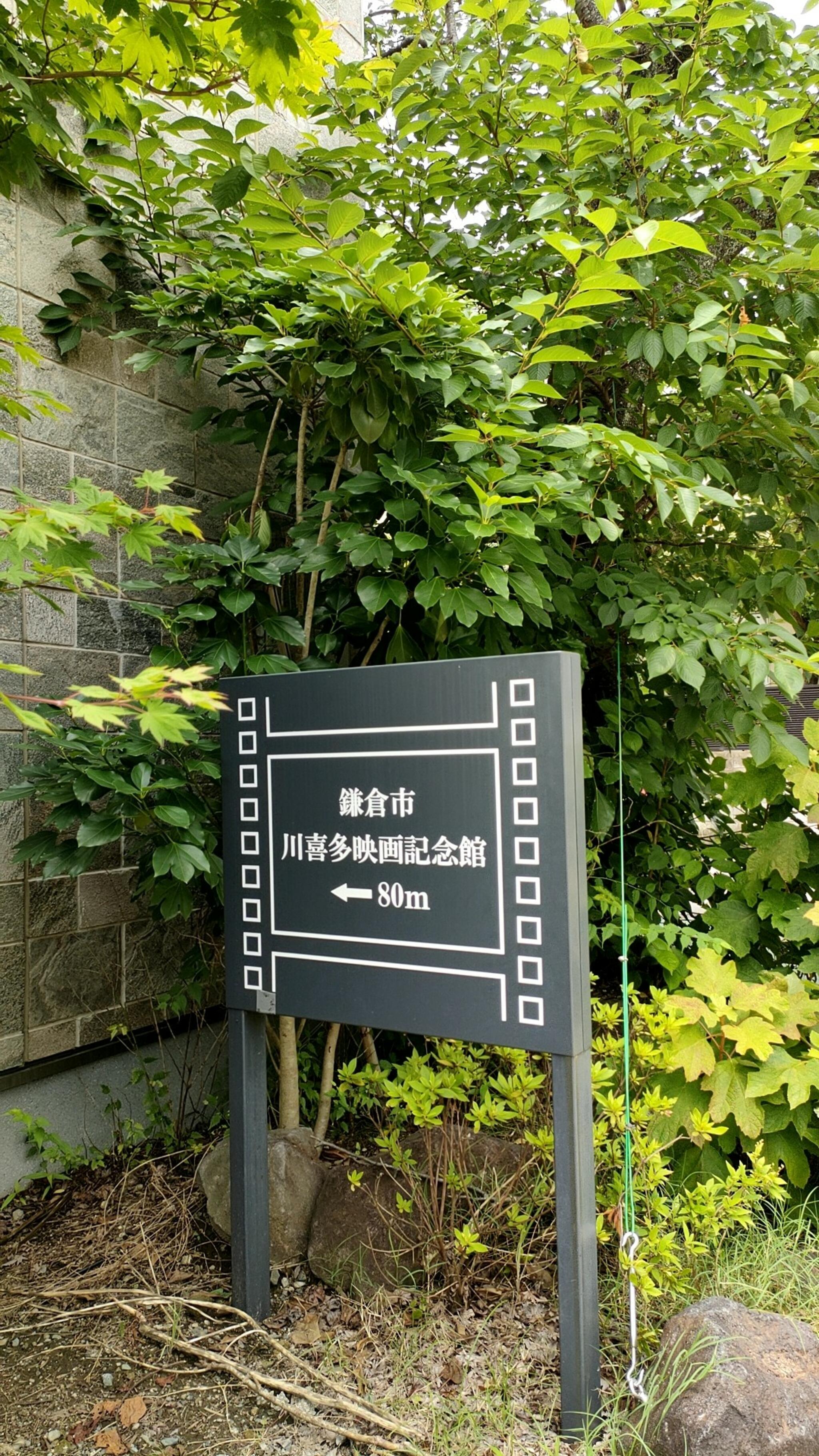 鎌倉市川喜多映画記念館の代表写真2