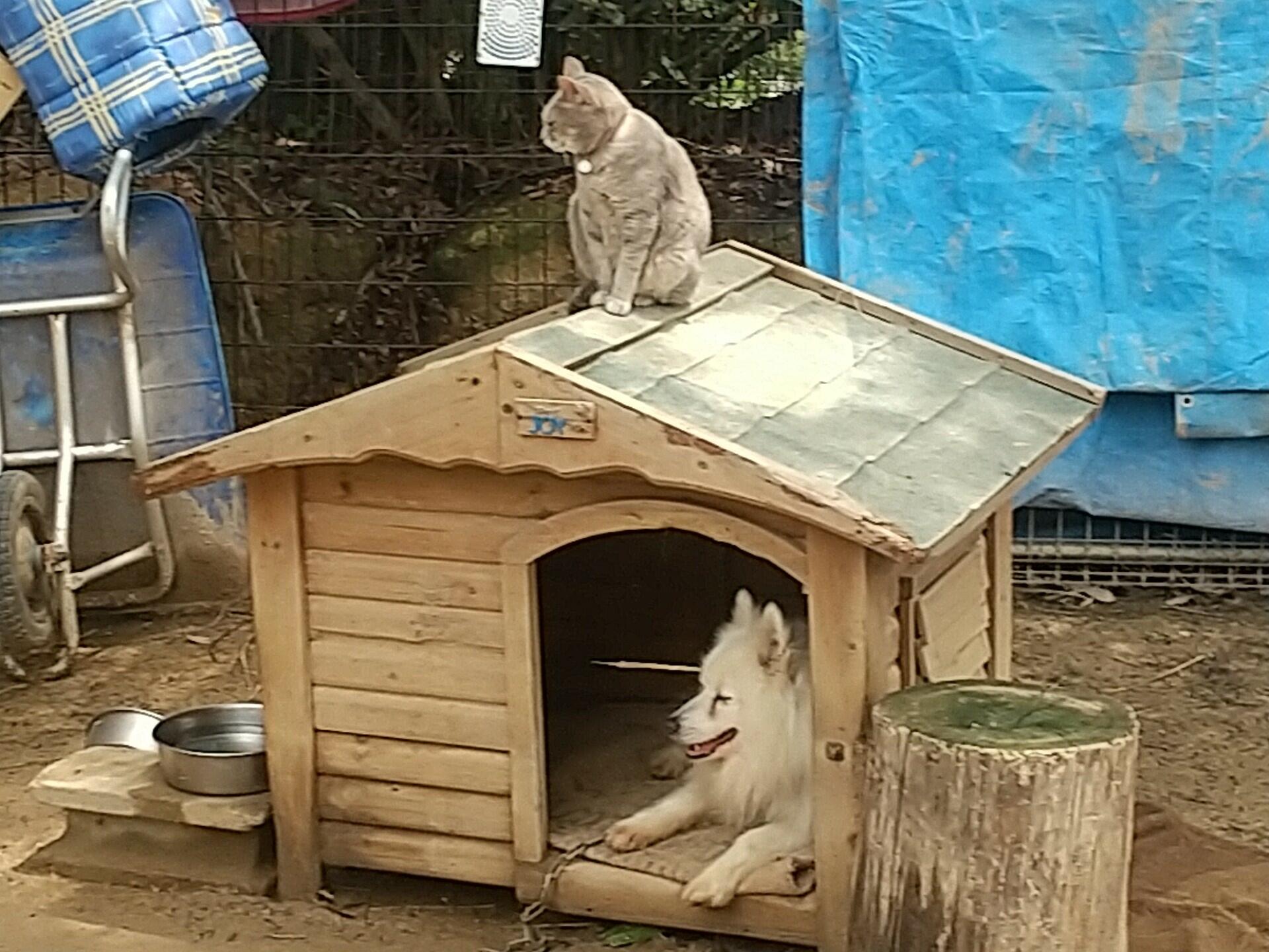 渋川 動物 公園 ベビーカー