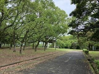 香川県公渕森林公園のクチコミ写真4