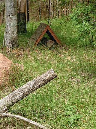 こども動物自然公園のクチコミ写真1