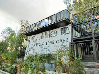 ANTIQUA TREE CAFEのクチコミ写真1