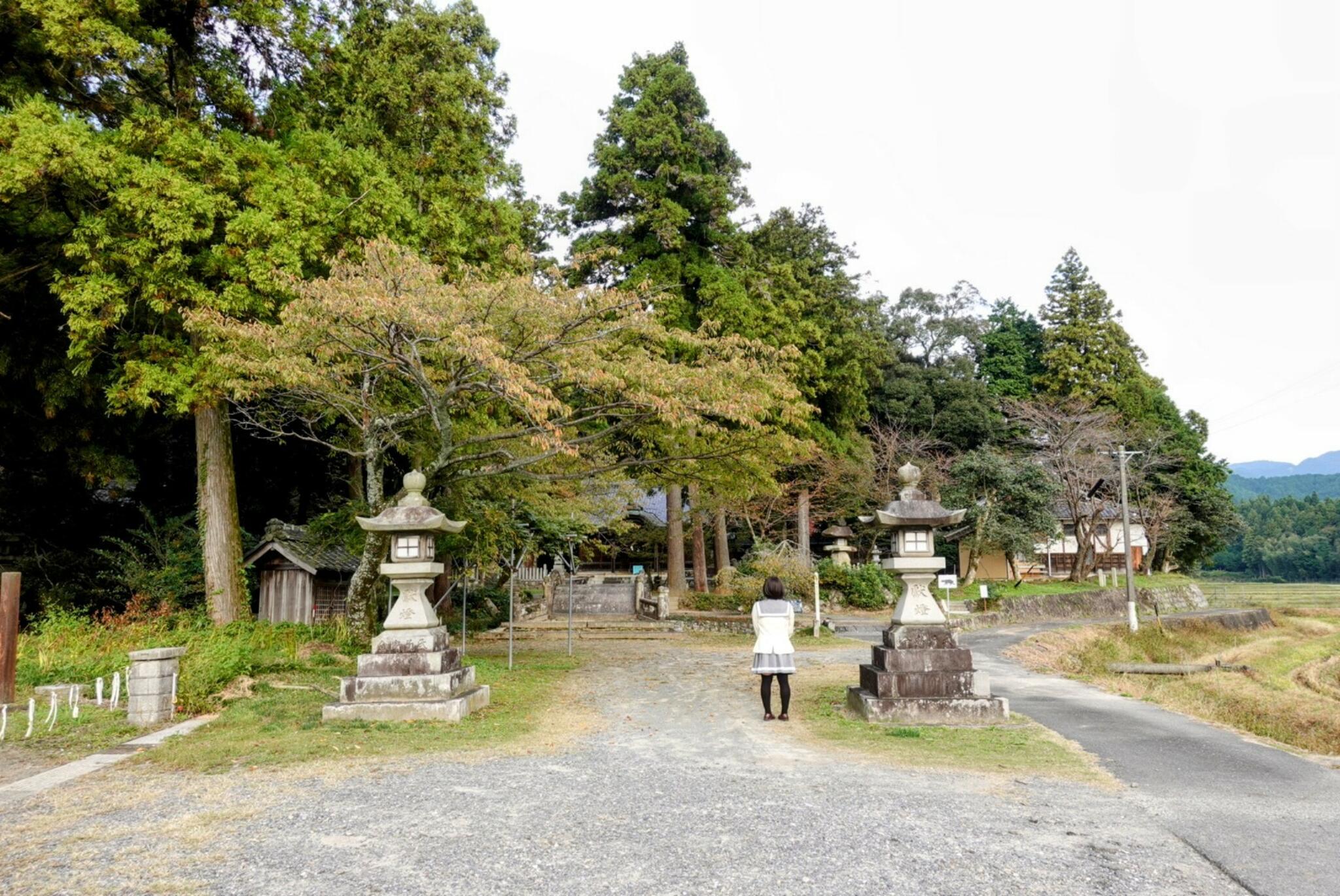 伊富岐神社(美濃國二宮)の代表写真2