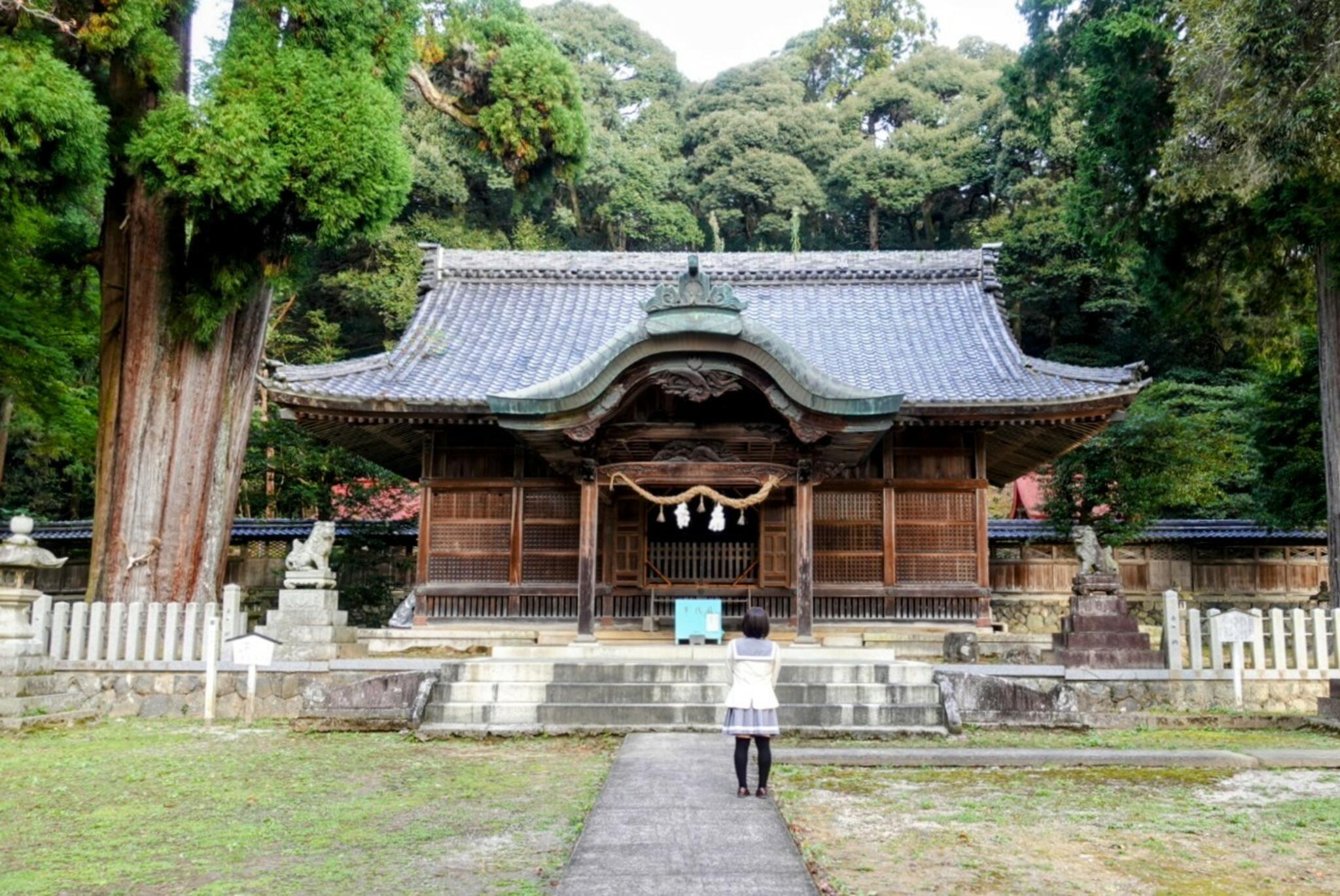 伊富岐神社(美濃國二宮)の代表写真1