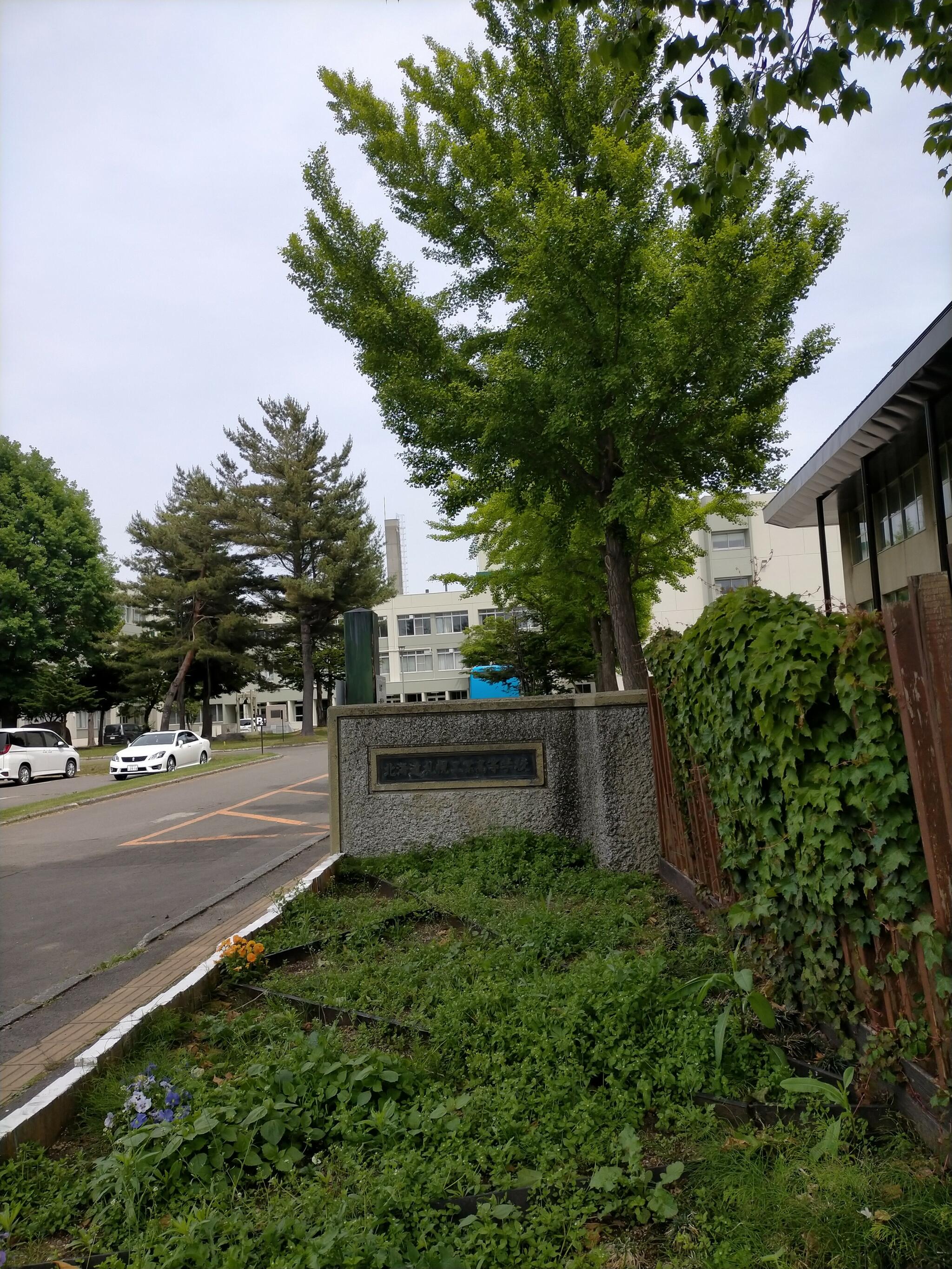 北海道札幌工業高等学校の代表写真2