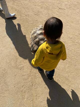 神戸市立王子動物園のクチコミ写真1