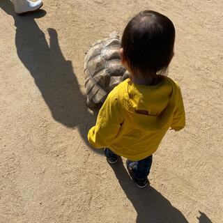 神戸市立王子動物園の写真28