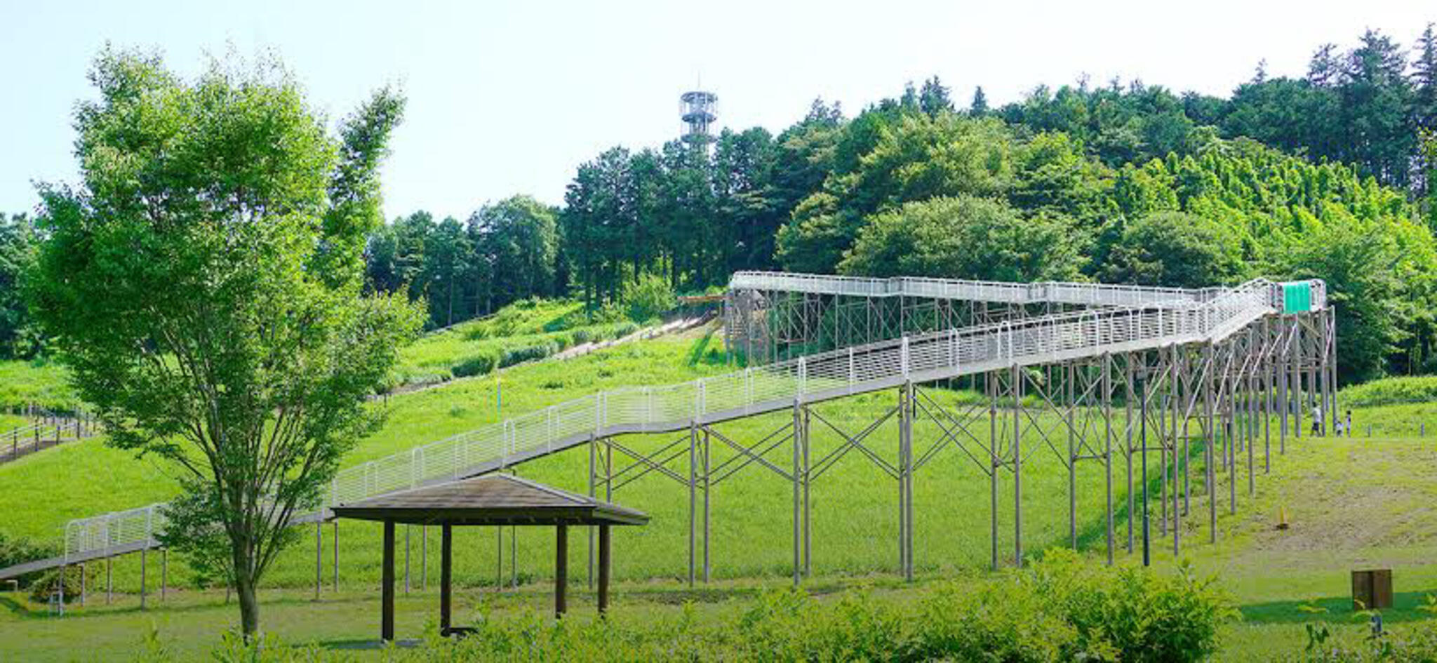 県立おだわら諏訪の原公園の代表写真6
