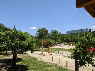 京都府立関西文化学術研究都市記念公園(けいはんな記念公園)のクチコミ写真1