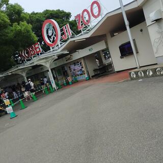 神戸市立王子動物園の写真29