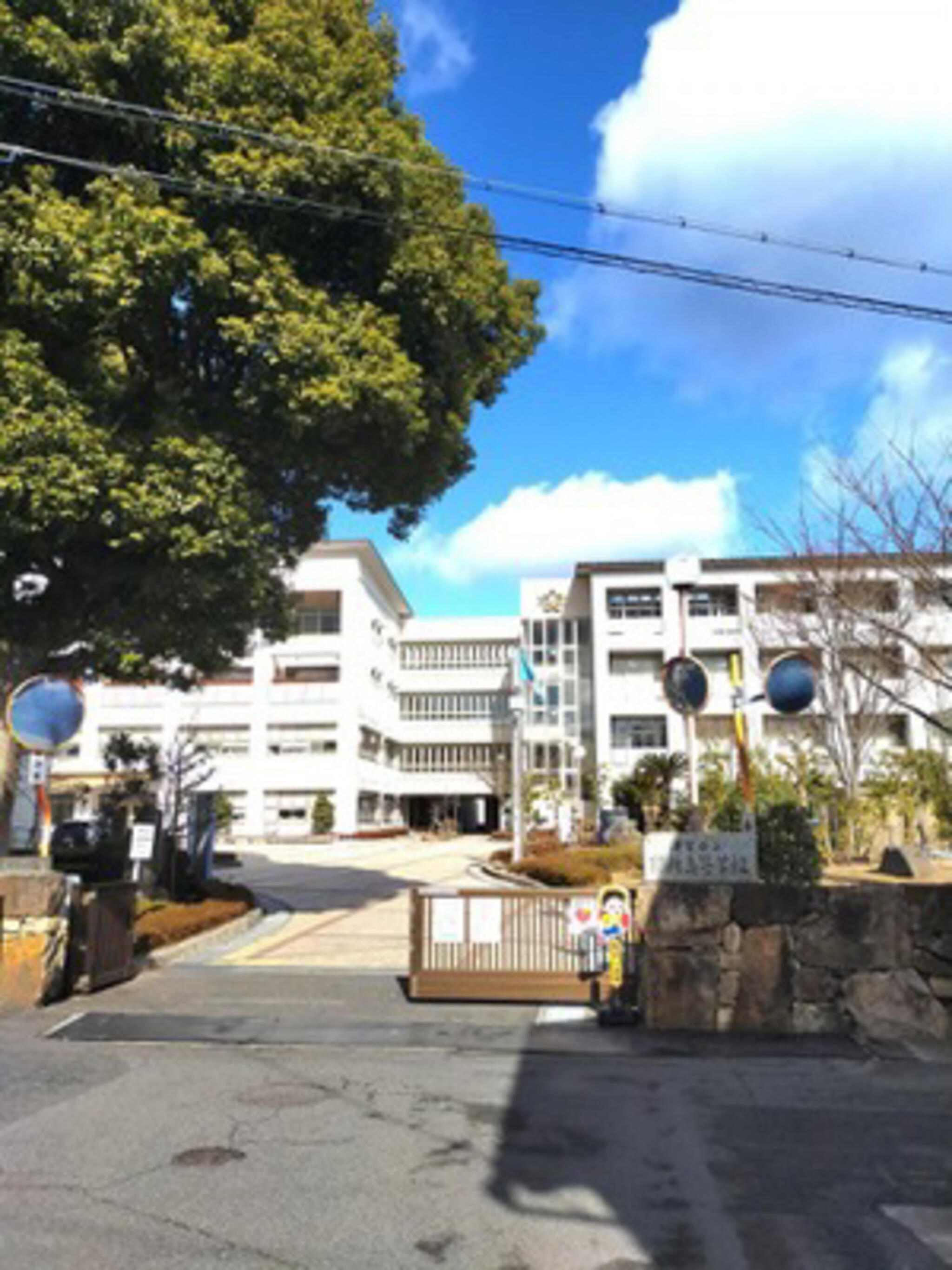 滋賀県立膳所高等学校の代表写真4