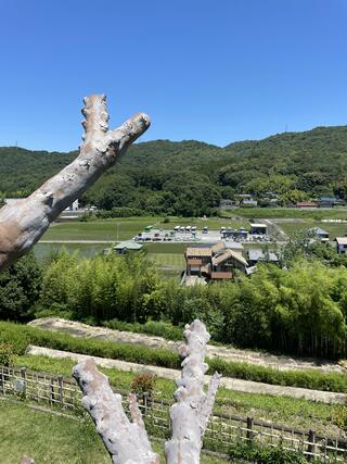 小牧市総合公園 市民四季の森のクチコミ写真3