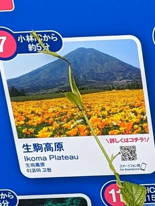 生駒高原のクチコミ写真1