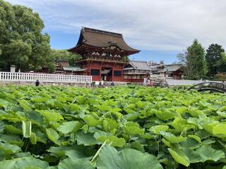 伊賀八幡宮のクチコミ写真1