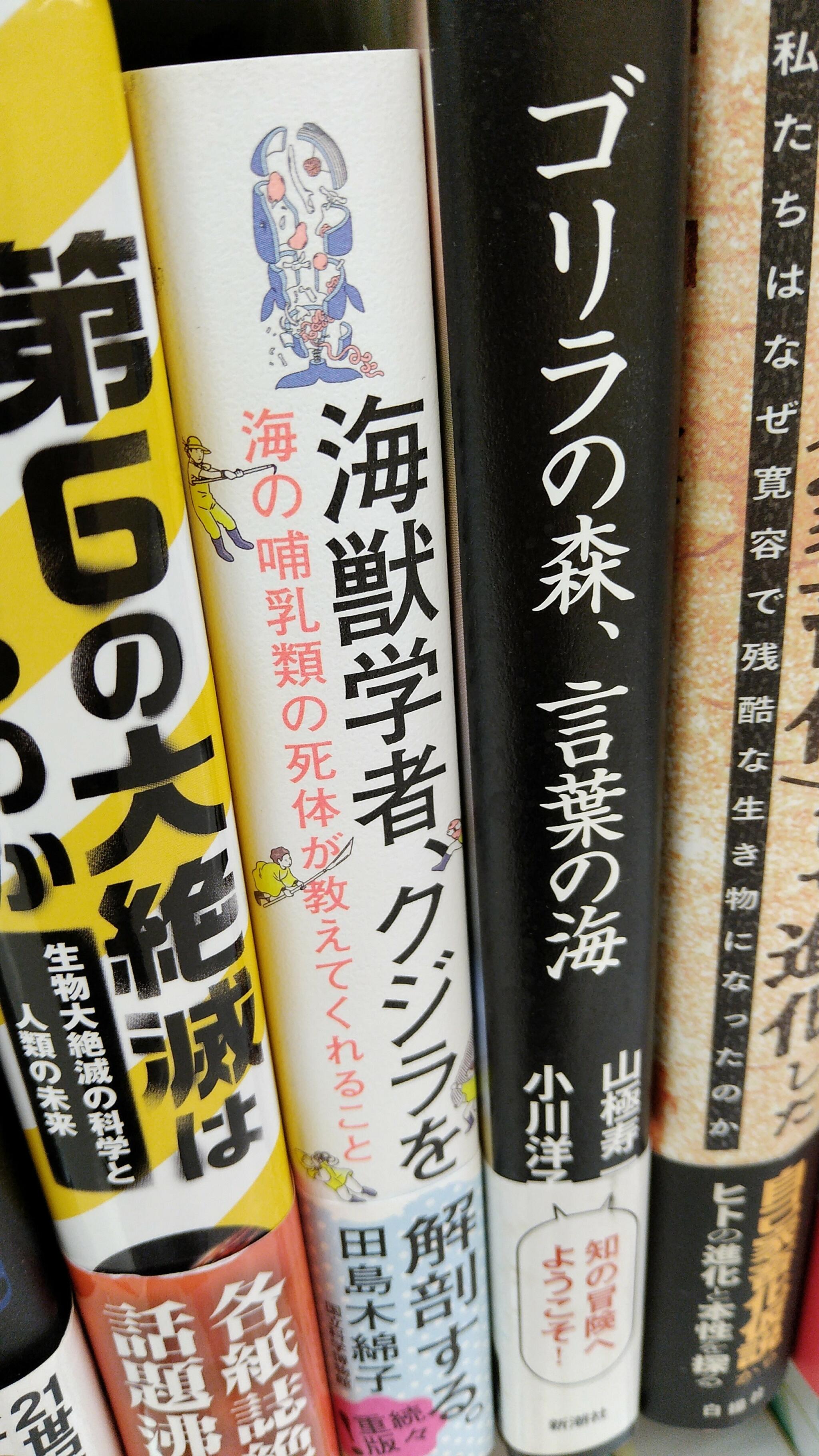 ブックオフ 兵庫三木店の代表写真3