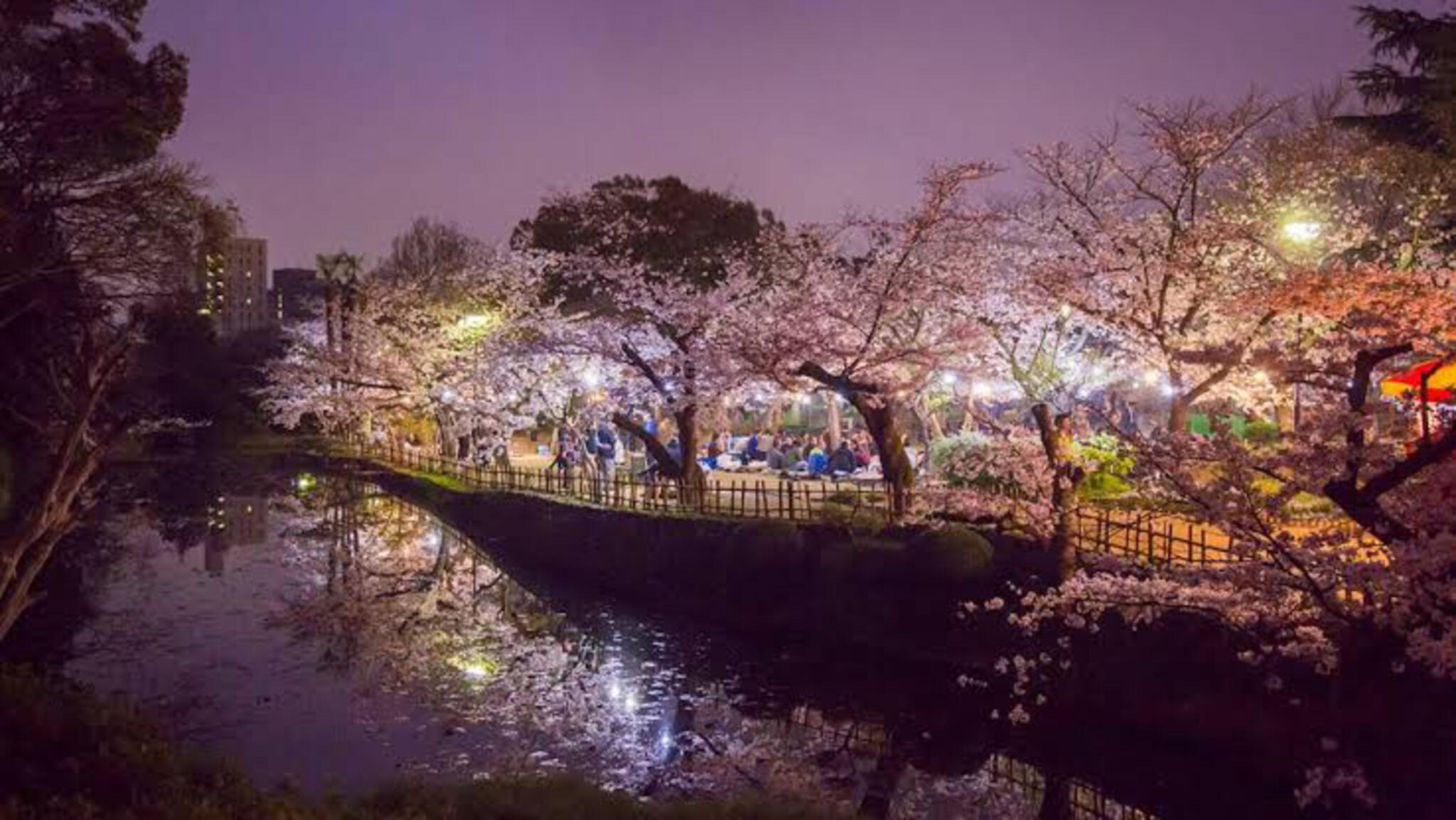 道後公園の代表写真4