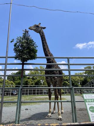 熊本市動植物園のクチコミ写真1